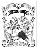 Boxing Bugs Manual